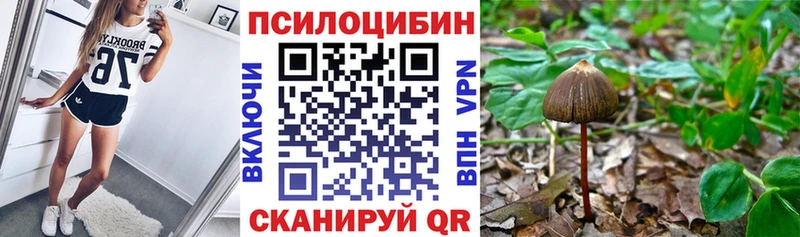 мега рабочий сайт  Кандалакша  Псилоцибиновые грибы ЛСД 